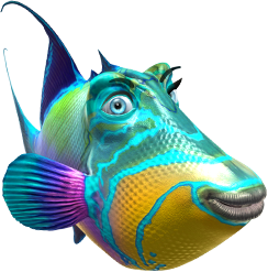 triggerfish